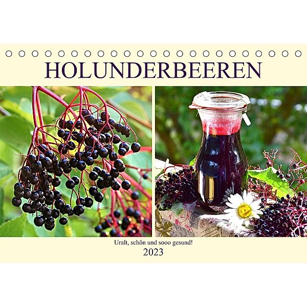 Holunderbeeren. Uralt, schön und sooo gesund! (Tischkalender 2023 DIN A5 quer), Rose Hurley