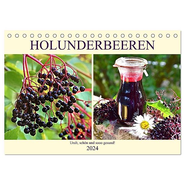 Holunderbeeren. Uralt, schön und sooo gesund! (Tischkalender 2024 DIN A5 quer), CALVENDO Monatskalender, Rose Hurley