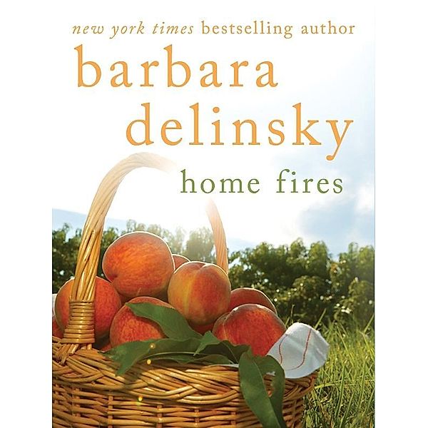 Home Fires, Barbara Delinsky