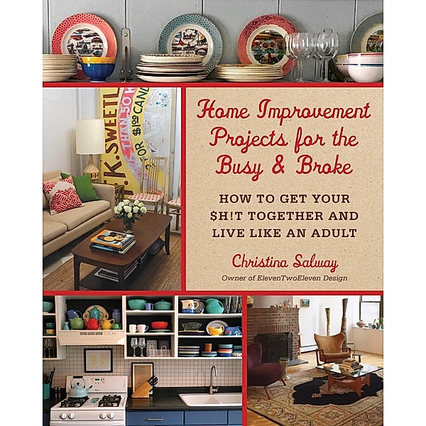 Home Improvement Projects for the Busy & Broke, Christina Salway