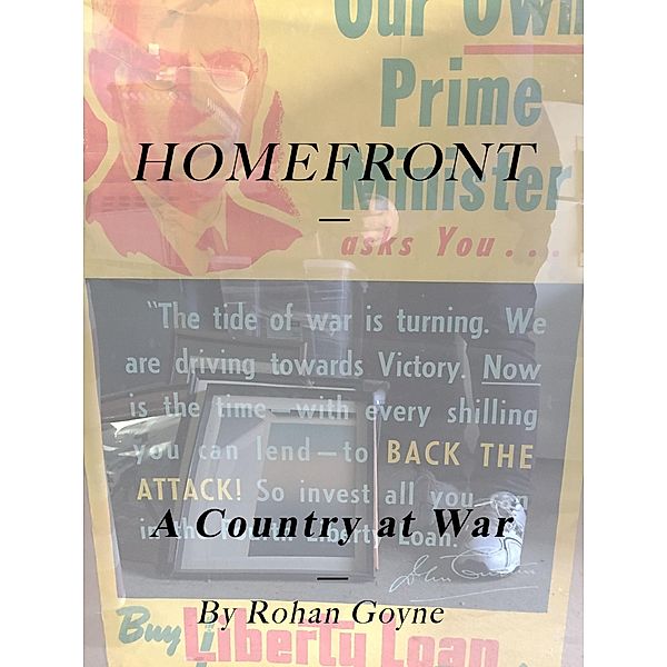 Homefront - A Country at War, Rohan Goyne