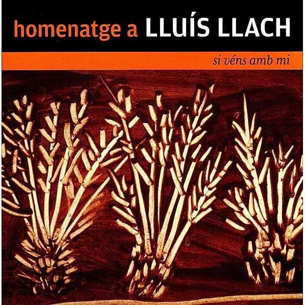 Homenatge à Lluis Llach, Diverse Interpreten