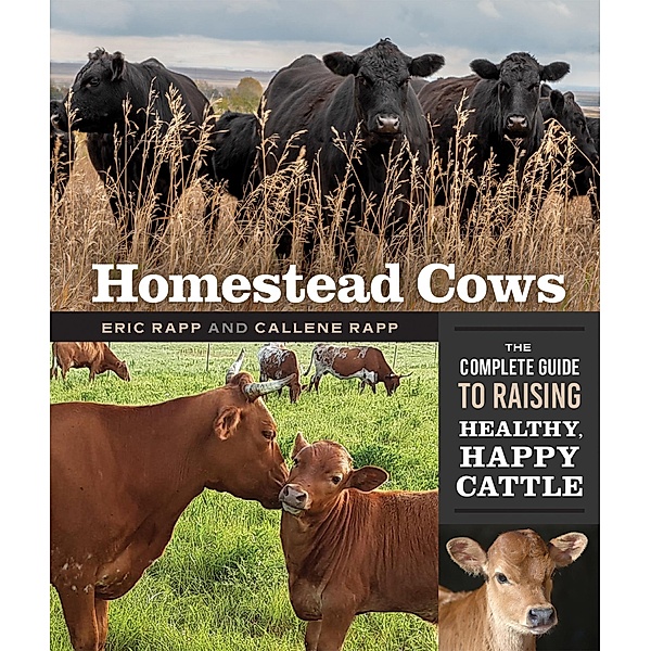 Homestead Cows, Callene Rapp, Eric Rapp