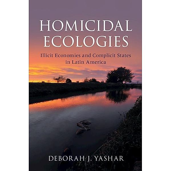 Homicidal Ecologies / Cambridge Studies in Comparative Politics, Deborah J. Yashar