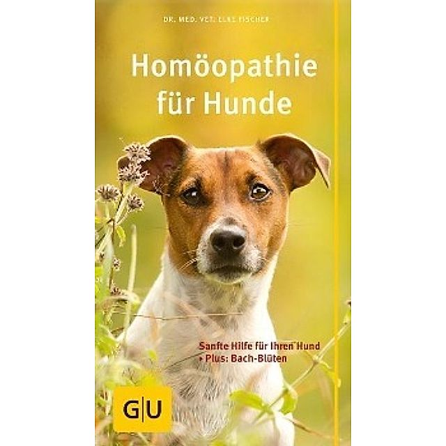 Homöopathie für Hunde Buch von Elke Fischer versandkostenfrei bestellen