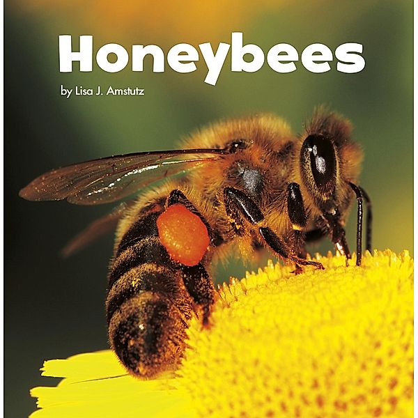 Honeybees / Raintree Publishers, Lisa J. Amstutz