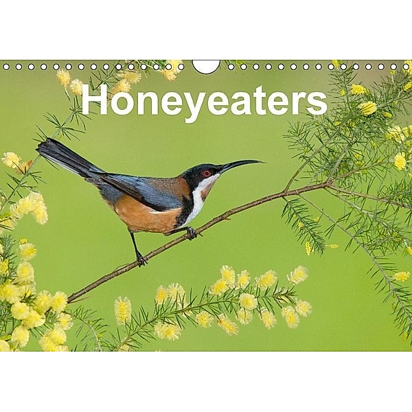 Honeyeaters (Wall Calendar 2017 DIN A4 Landscape), BIA - birdimagency