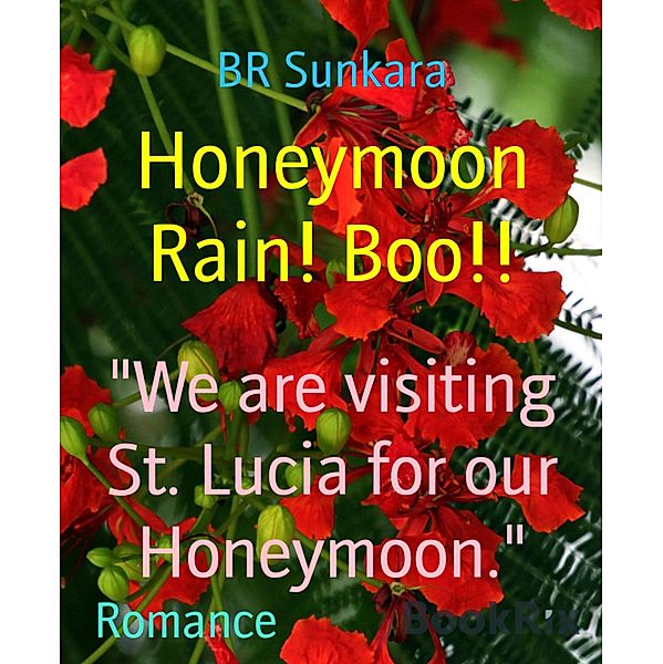 Honeymoon Rain! Boo!!, Br Sunkara