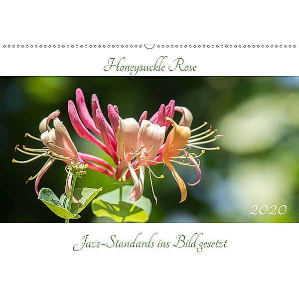 Honeysuckle Rose - Jazz-Standards ins Bild gesetzt (Wandkalender 2020 DIN A2 quer), Klaus Rohwer