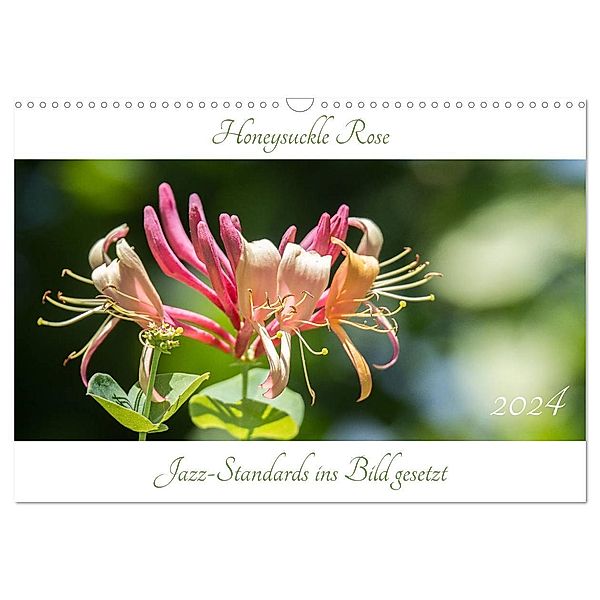 Honeysuckle Rose - Jazz-Standards ins Bild gesetzt (Wandkalender 2024 DIN A3 quer), CALVENDO Monatskalender, Klaus Rohwer