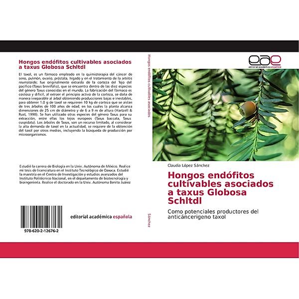Hongos endófitos cultivables asociados a taxus Globosa Schltdl, Claudia López Sánchez