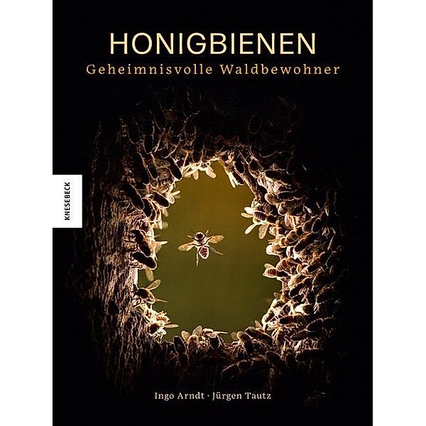 Honigbienen - geheimnisvolle Waldbewohner, Ingo Arndt, Jürgen Tautz