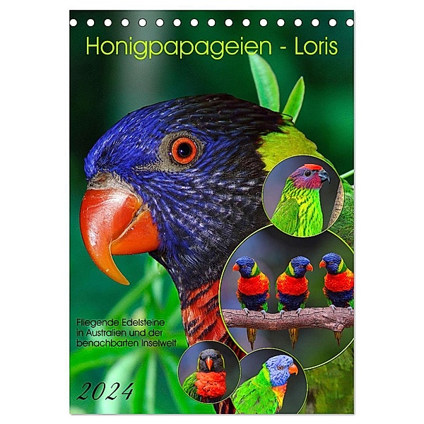 Honigpapageien - Loris (Tischkalender 2024 DIN A5 hoch), CALVENDO Monatskalender, Calvendo