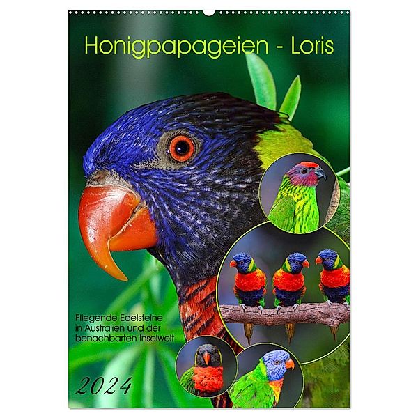 Honigpapageien - Loris (Wandkalender 2024 DIN A2 hoch), CALVENDO Monatskalender, Calvendo