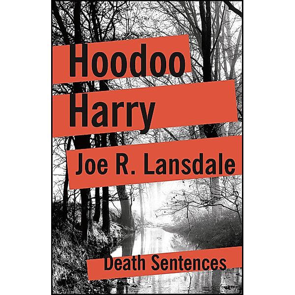 Hoodoo Harry, Joe R. Lansdale