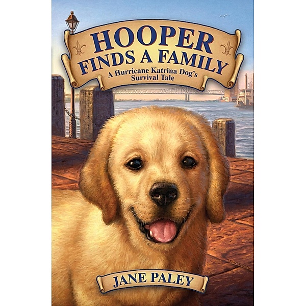 Hooper Finds a Family, Jane Paley