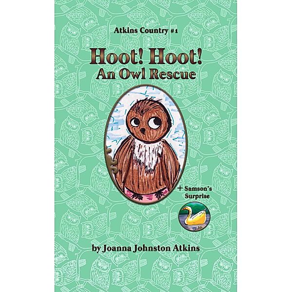 Hoot! Hoot! An Owl Rescue, Joanna Johnston Atkins