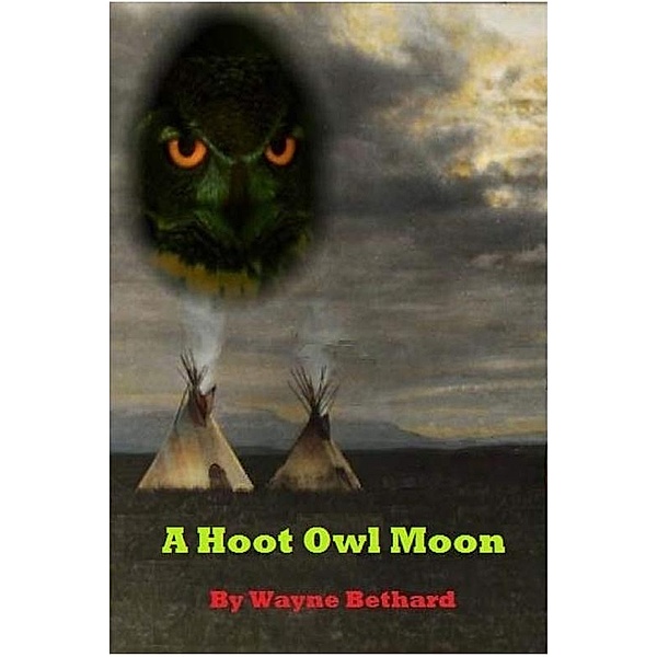 Hoot Owl Moon / Wayne Bethard, Wayne Bethard