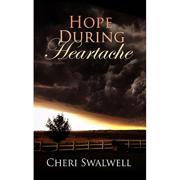 Hope During Heartache: True Stories of Emotional Healing from Infertility, Miscarriage, Stillbirth, or Death of a Child, Cheri Swalwell