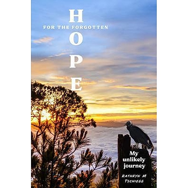 Hope for the forgotten...My Unlikely Journey, Kathryn M Tschiegg