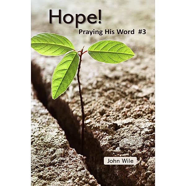 Hope!  Praying His Word / Praying His Word, John Wile