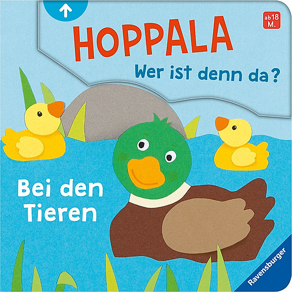 Hoppala, wer ist denn da? Bei den Tieren, Kathrin Lena Orso