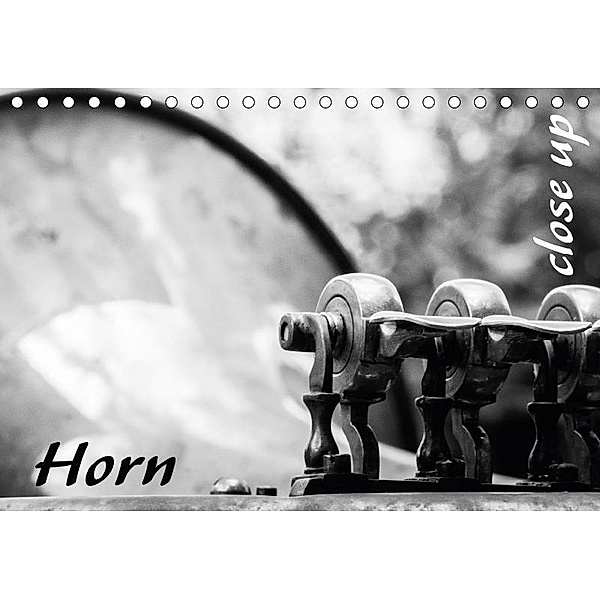Horn - Close Up (Tischkalender 2017 DIN A5 quer), Silvia Drafz