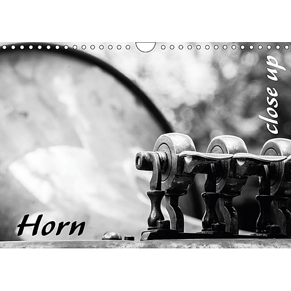 Horn - Close Up (Wandkalender 2018 DIN A4 quer), Silvia Drafz