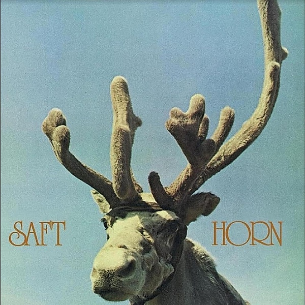Horn (Vinyl), Saft