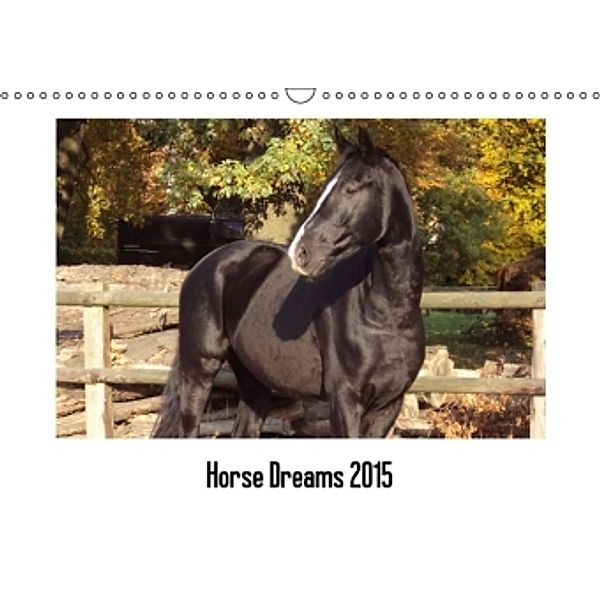 Horse Dreams (Wandkalender 2015 DIN A3 quer), Cerstin Meding
