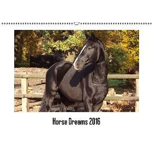 Horse Dreams (Wandkalender 2016 DIN A2 quer), Cerstin Meding