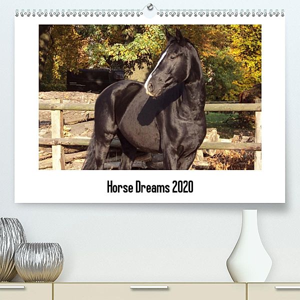 Horse Dreams(Premium, hochwertiger DIN A2 Wandkalender 2020, Kunstdruck in Hochglanz), Cerstin Meding