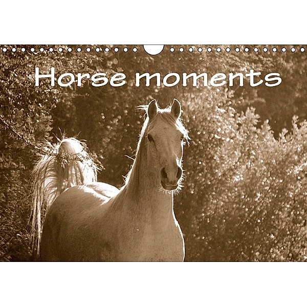 Horse moments (Wall Calendar 2018 DIN A4 Landscape), Anke van Wyk