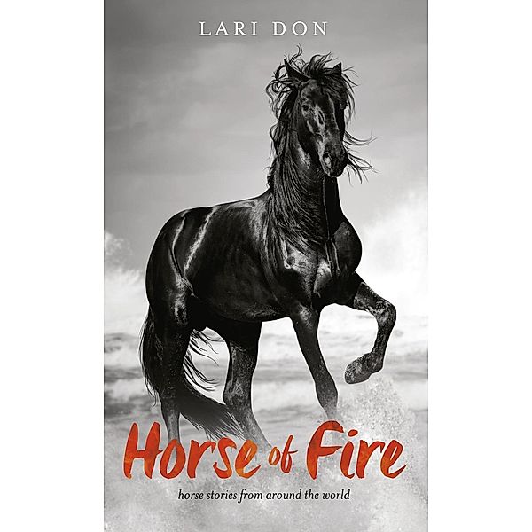 Horse of Fire / Bloomsbury Education, Lari Don