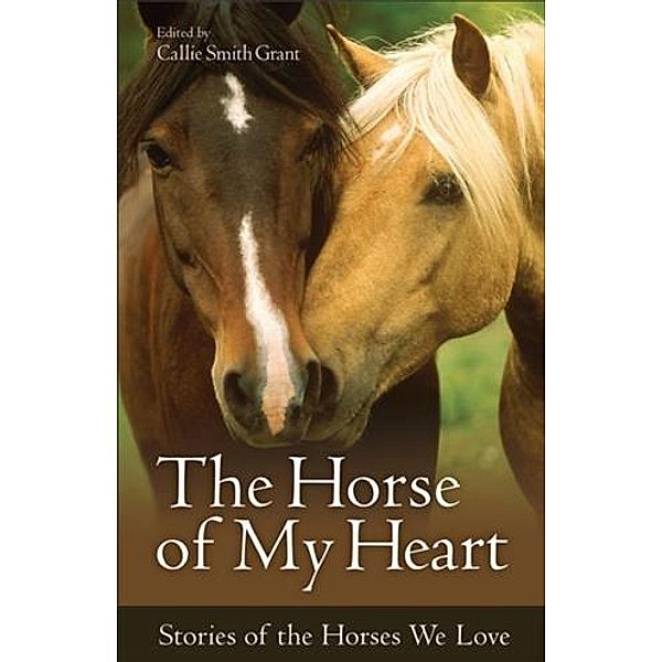 Horse of My Heart