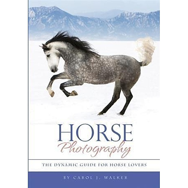 Horse Photography, Carol J. Walker