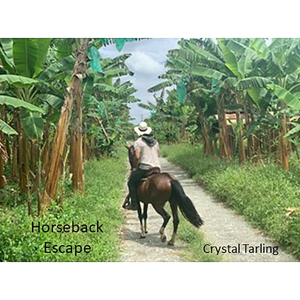 Horseback Escape, Crystal Tarling