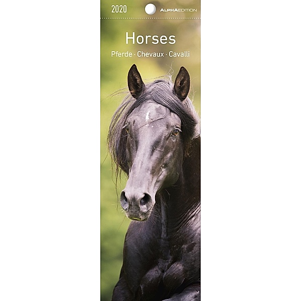 Horses 2020 - Lesezeichenkalender, ALPHA EDITION