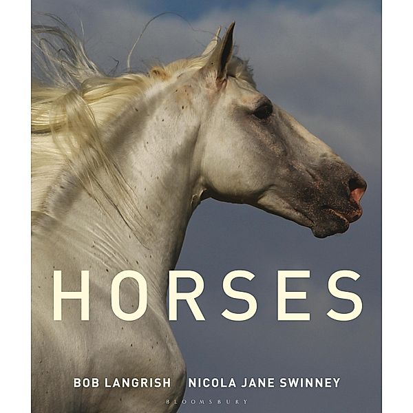 Horses, NICOLA JANE SWINNEY