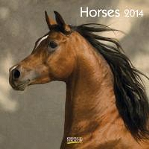 Horses, Broschürenkalender 2014