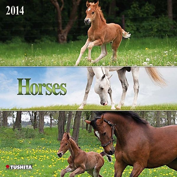 Horses, Broschürenkalender 2014