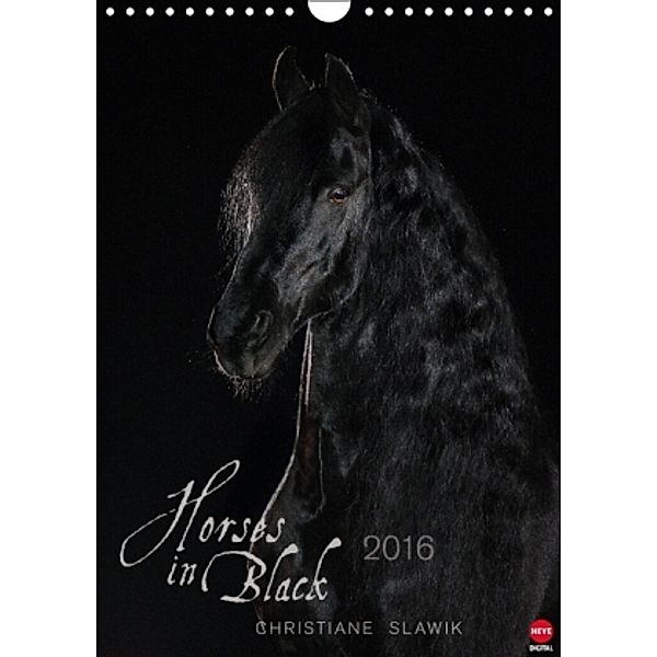 Horses in Black (Wandkalender 2016 DIN A4 hoch), Christiane Slawik