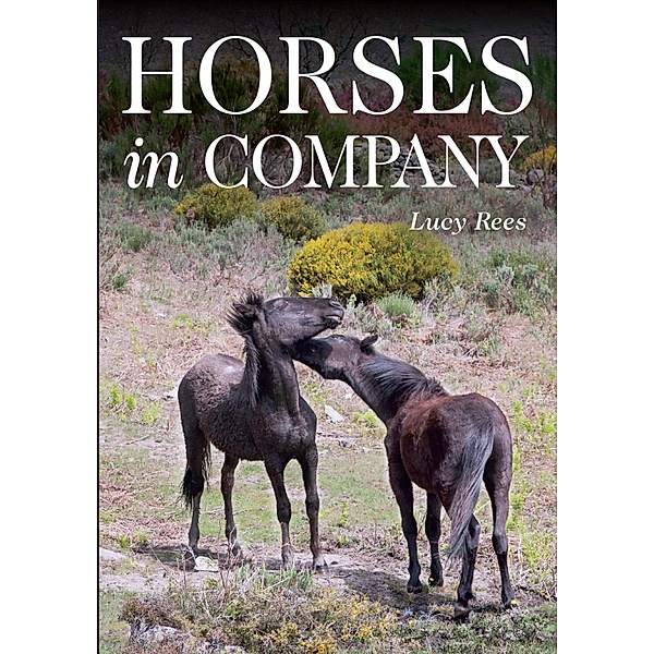 Horses in Company, Lucy Rees
