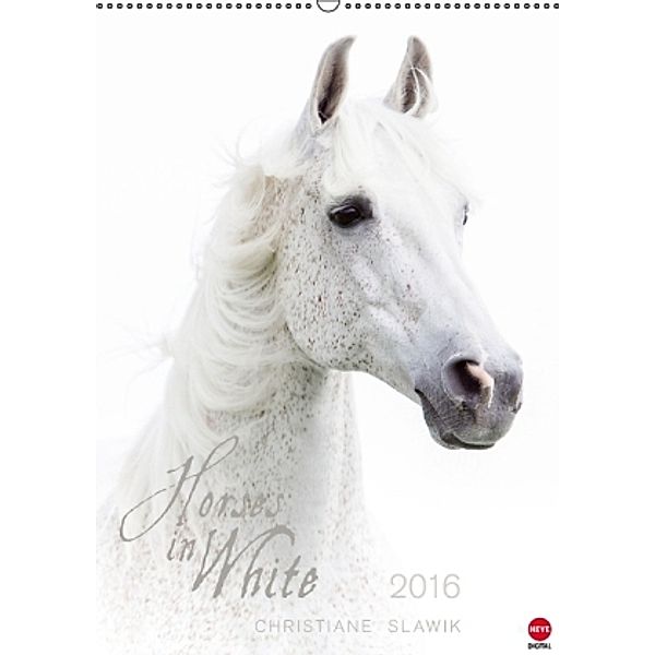 Horses in White (Wandkalender 2016 DIN A2 hoch), Christiane Slawik