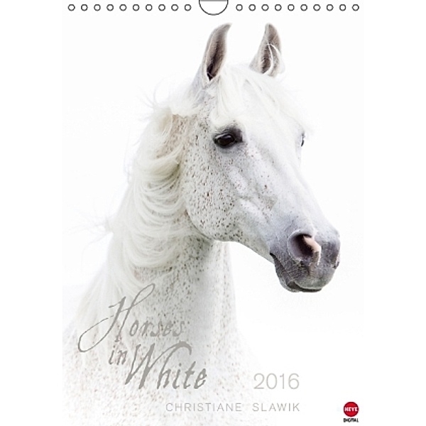 Horses in White (Wandkalender 2016 DIN A4 hoch), Christiane Slawik