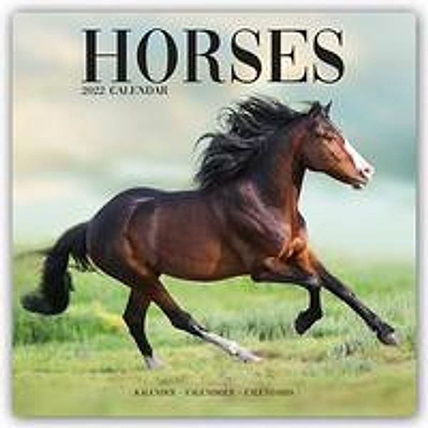 Horses - Pferde 2022 - 16-Monatskalender, Avonside Publishing Ltd