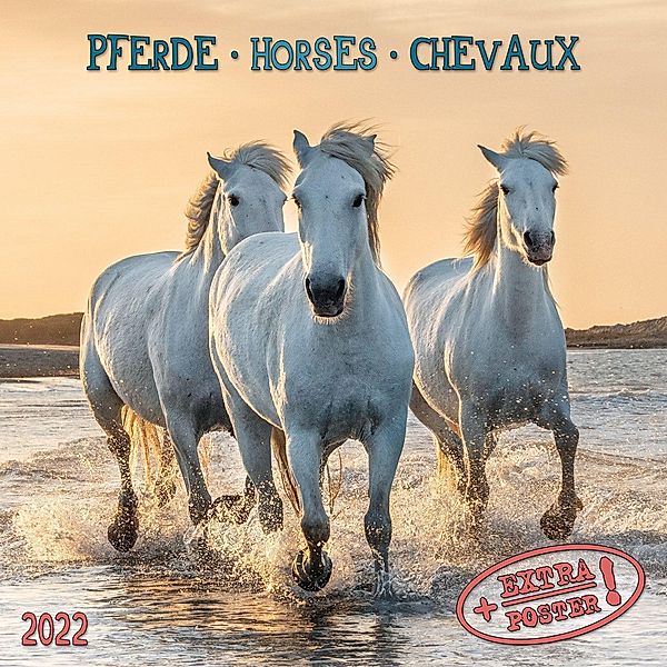 Horses/Pferde 2022