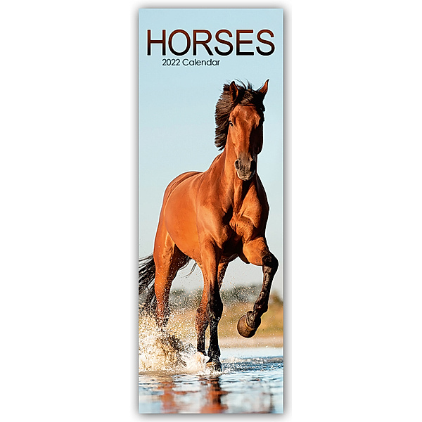 Horses - Pferde 2022, Avonside Publishing Ltd