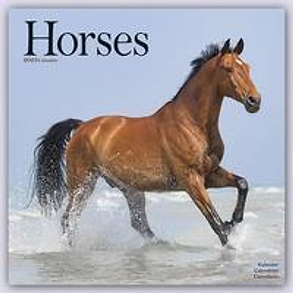Horses - Pferde 2023 - 16-Monatskalender, Avonside Publishing Ltd