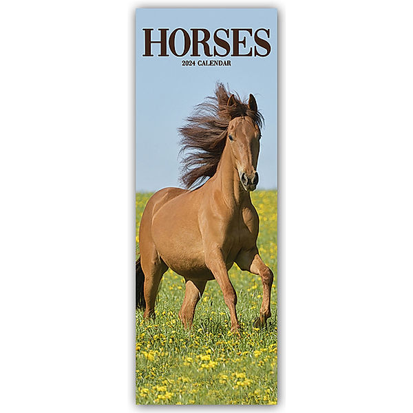 Horses - Pferde 2024, Avonside Publishing Ltd